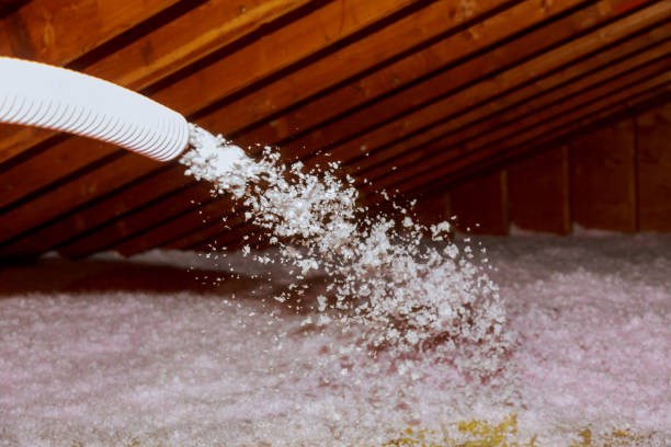 Best Insulation Maintenance and Repair in Brownsville, LA
