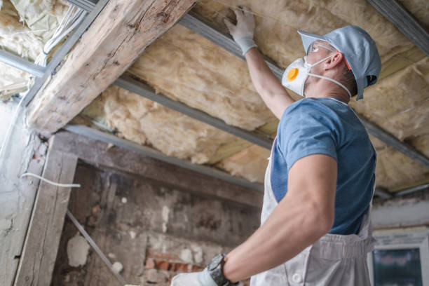 Best Specialty Insulation in Brownsville, LA
